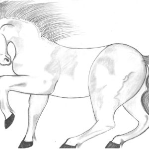 "Horse," Antonio M.