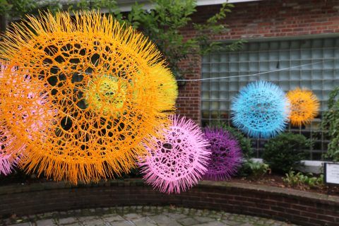 Pompom 4 (300dpi)